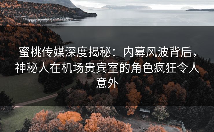蜜桃传媒深度揭秘：内幕风波背后，神秘人在机场贵宾室的角色疯狂令人意外