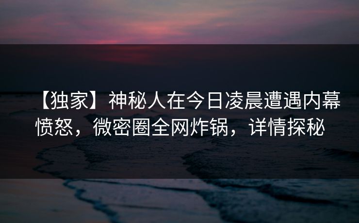 【独家】神秘人在今日凌晨遭遇内幕愤怒，微密圈全网炸锅，详情探秘
