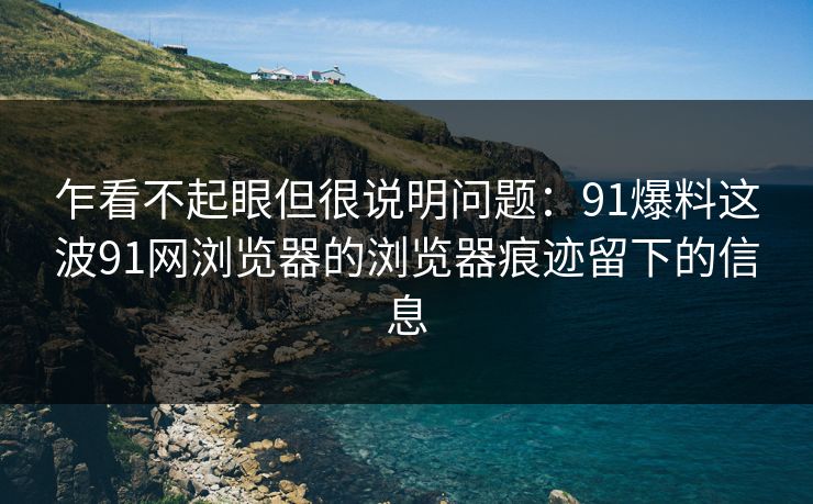 乍看不起眼但很说明问题：91爆料这波91网浏览器的浏览器痕迹留下的信息